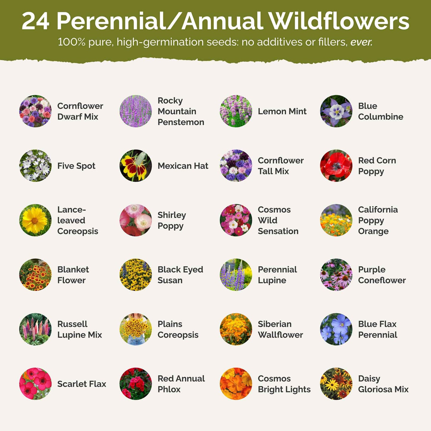 List of flower species and seeds included in the Wildflower Seed Mix.