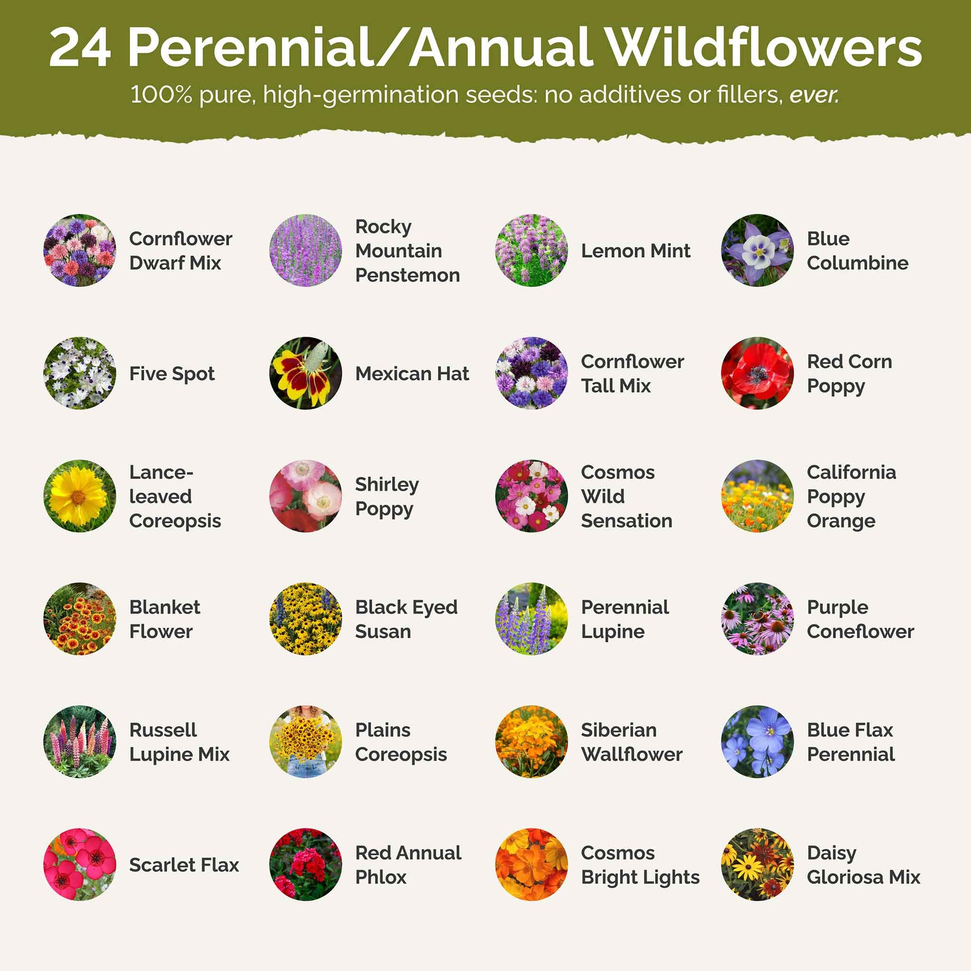 List of flower species and seeds included in the Wildflower Seed Mix.