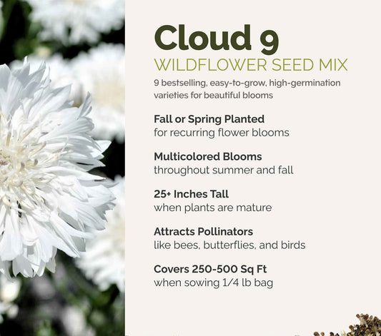 A visual overview of the wildflower seed mix, showcasing expected floral blooms.