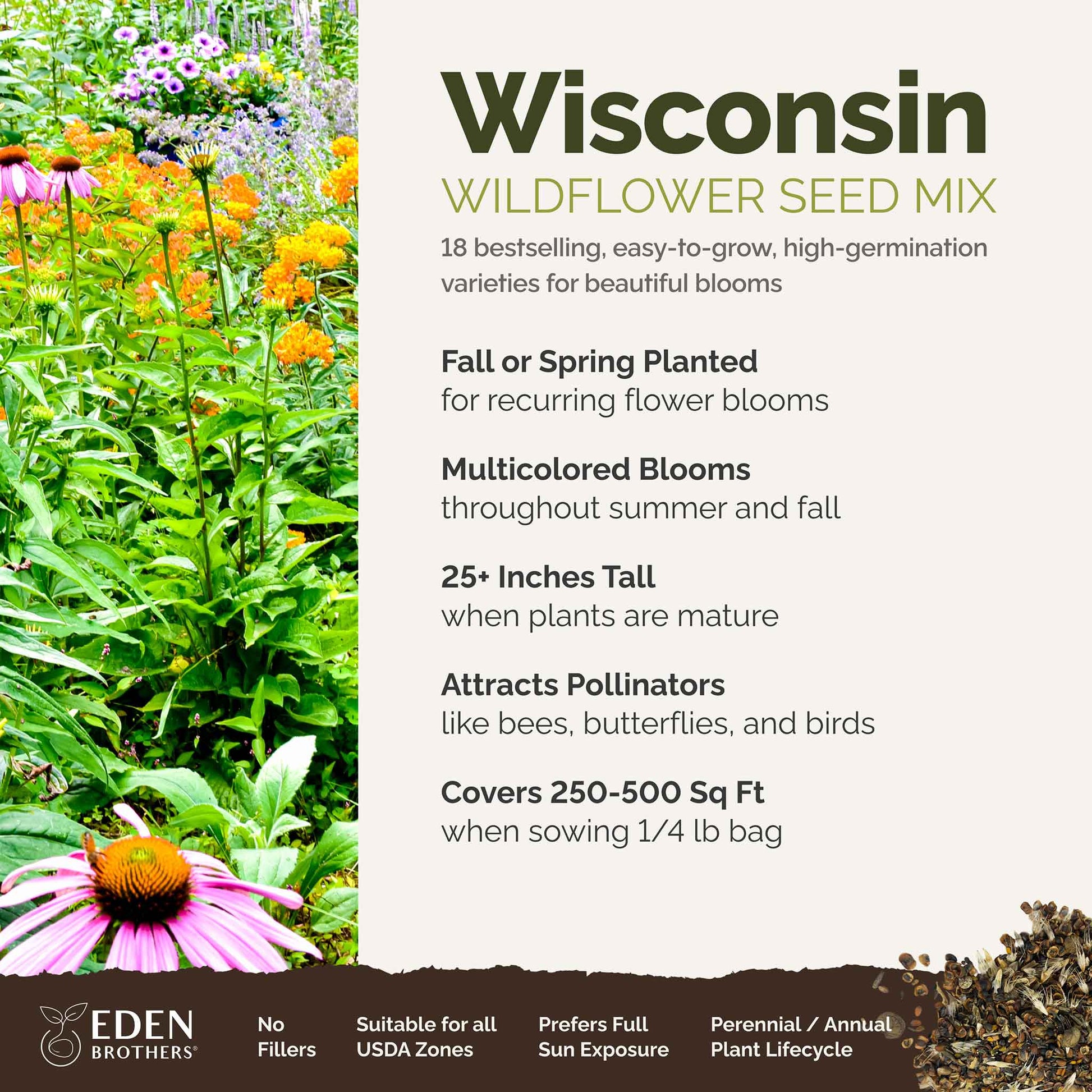 A visual overview of the wildflower seed mix, showcasing expected floral blooms.