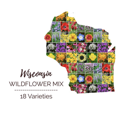 Graphic of the outline of the state for Wisconsin Wildflower Seed Mix that contains images of the flowers in the mix