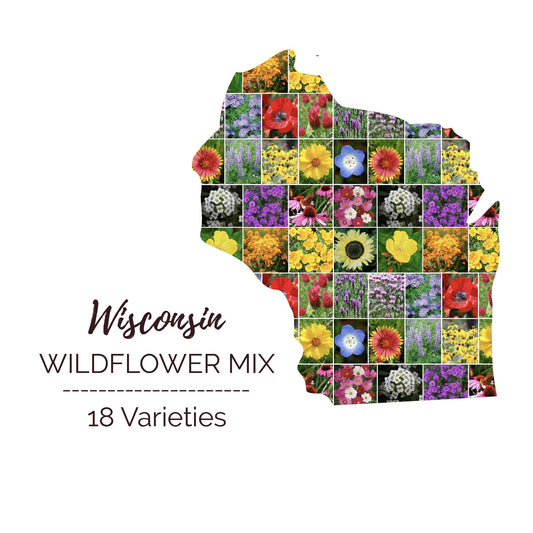 Graphic of the outline of the state for Wisconsin Wildflower Seed Mix that contains images of the flowers in the mix