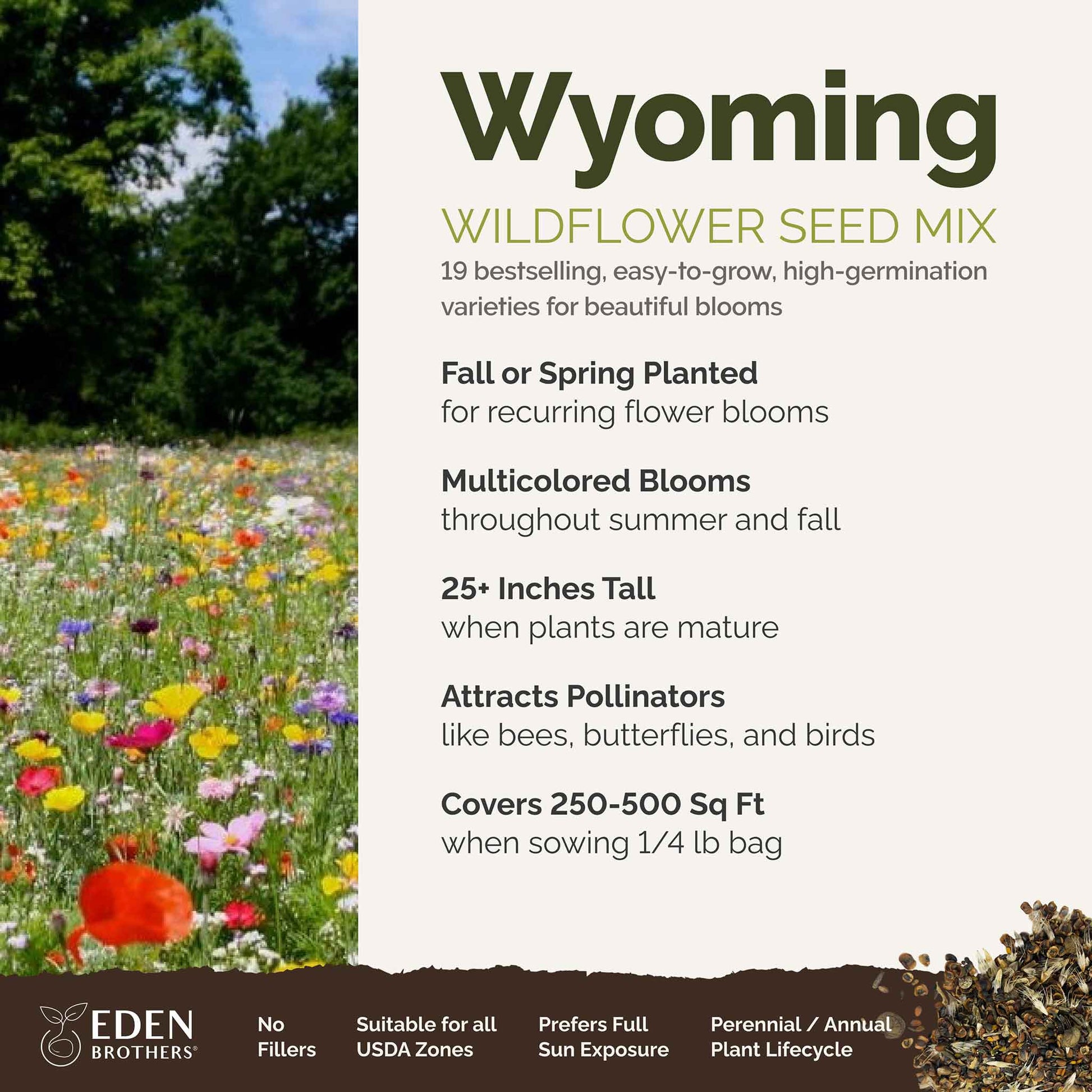 A visual overview of the wildflower seed mix, showcasing expected floral blooms.