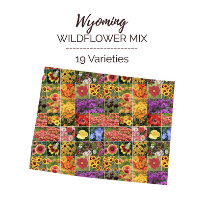 Graphic of the outline of the state for Wyoming Wildflower Seed Mix that contains images of the flowers in the mix