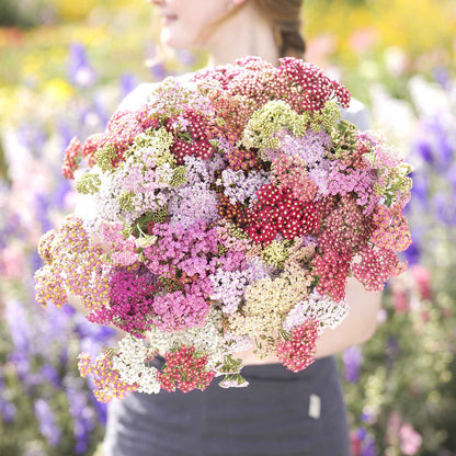 Yarrow summer pastels mix with pink, yellow, and orange blooms held outdoors.