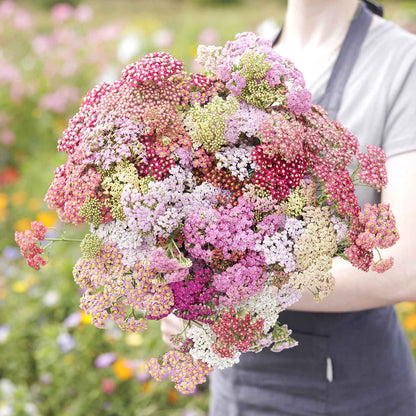 Yarrow summer pastels mix with soft pastel blooms held in an outdoor blurred setting.