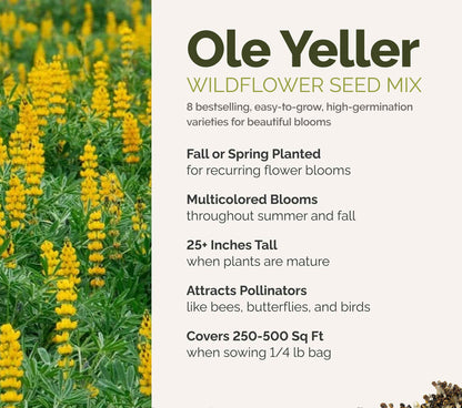 A visual overview of the wildflower seed mix, showcasing expected floral blooms.