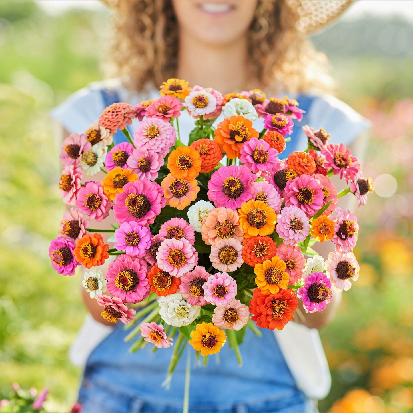Button box zinnia dwarf seed product image with colorful flowers on a white background