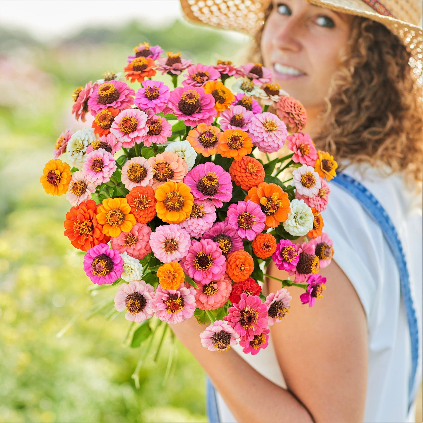 Vibrant dwarf button box zinnia blooms in mixed colors on a bright garden background