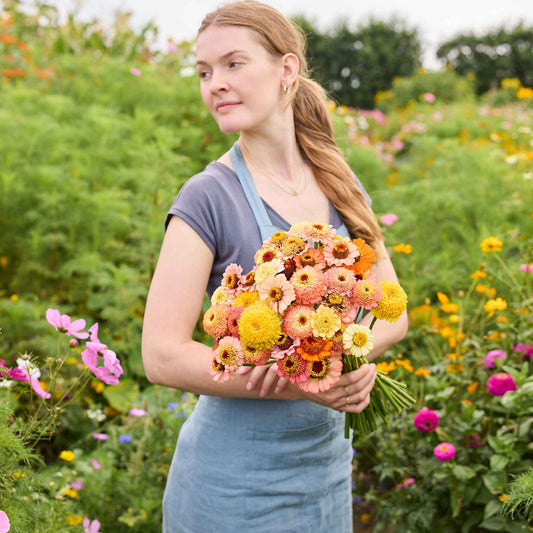 Zinnia Cresto! Peaches and Cream shown outdoors, with visible color, form, texture, and natural garden or harvest context.