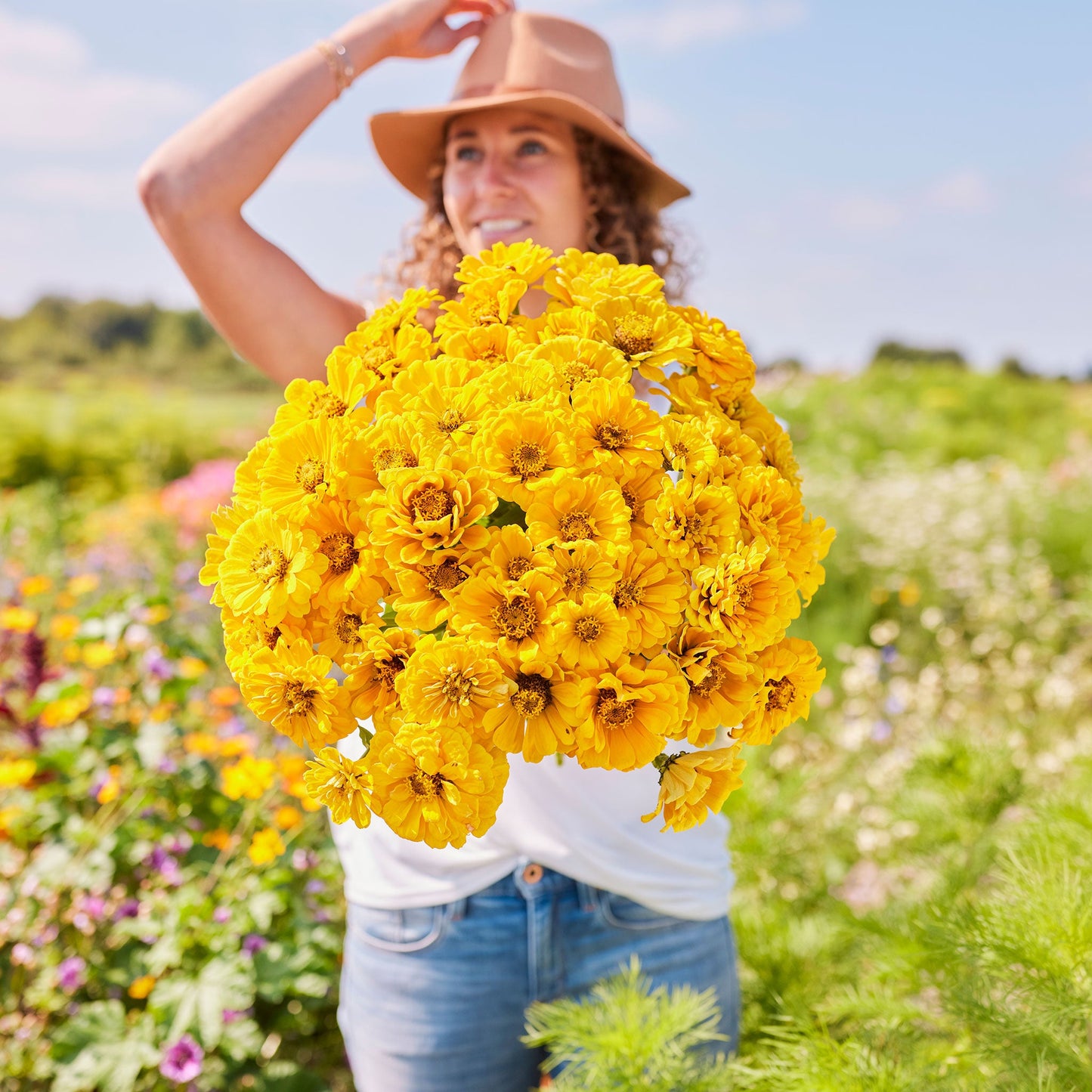 Vibrant yellow zinnia golden state flowers with lush green foliage background