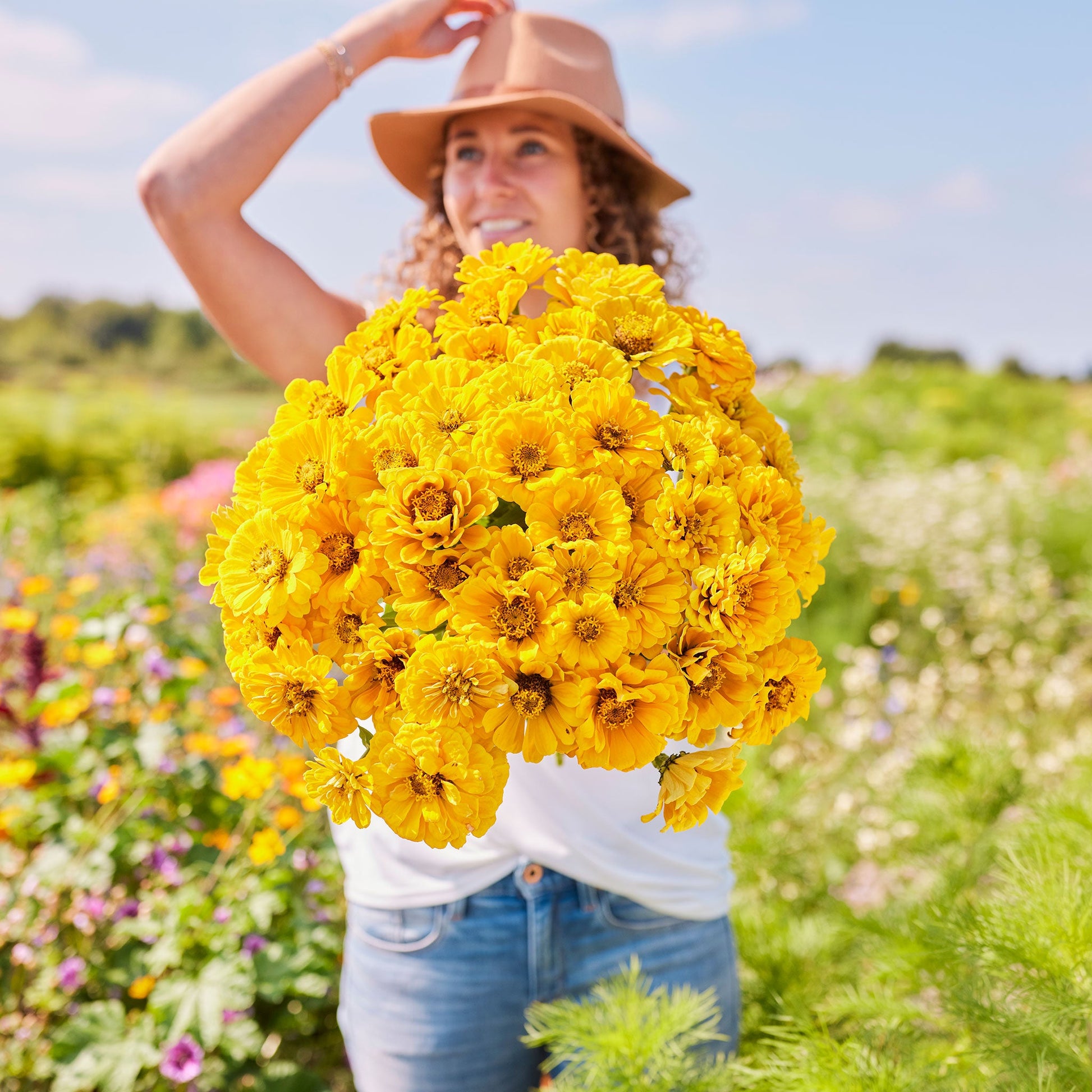 Vibrant yellow zinnia golden state flowers with lush green foliage background