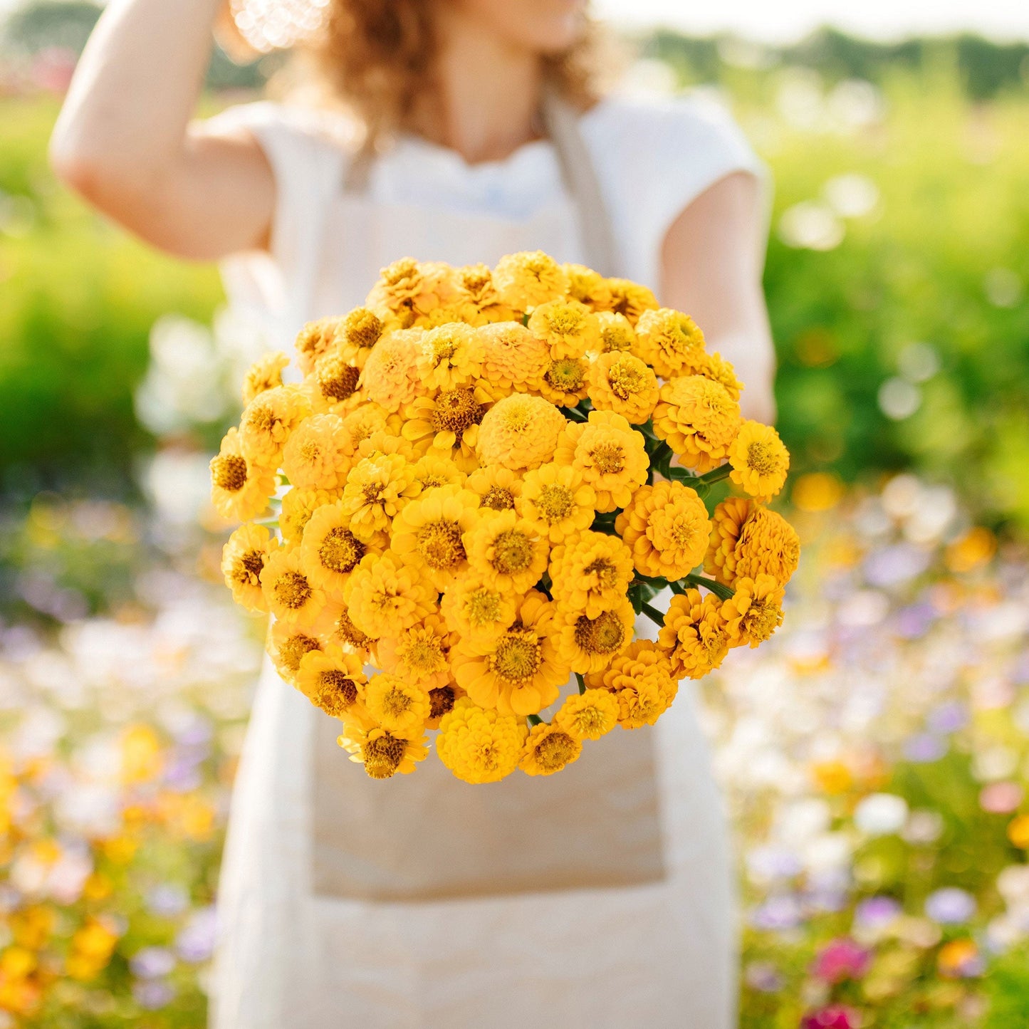 Woman holding zinnia lilliput yellow flowers in a field of colorful flowers