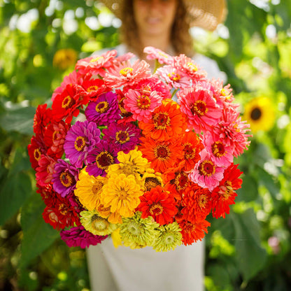 Close-up of zinnia over rainbow mix flowers in vivid mixed colors on a garden backdrop