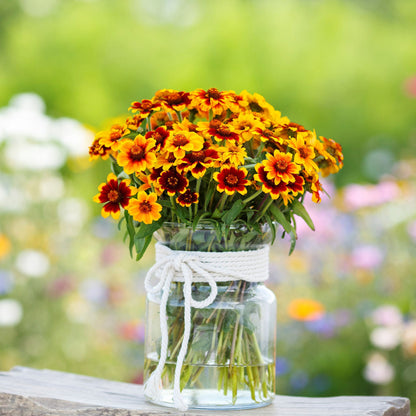 A bouquet of multi-colored Persian Carpet zinnia blooms in shades of red, orange, and yellow.