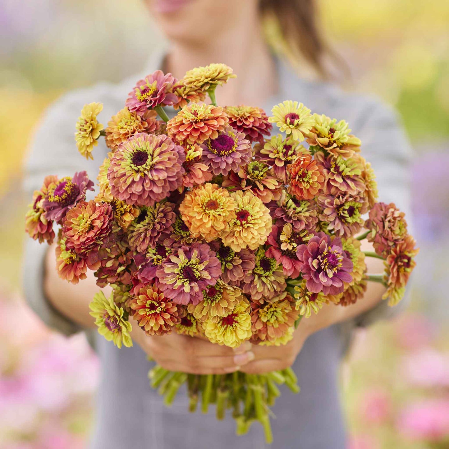 Zinnia queeny lime mix seeds shown with yellow-green flowers on a garden backdrop