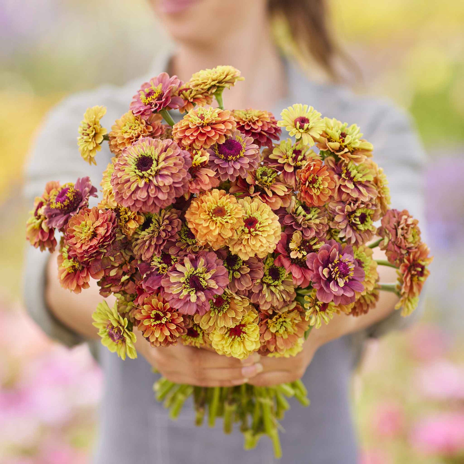 Zinnia queeny lime mix seeds shown with yellow-green flowers on a garden backdrop