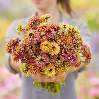 Zinnia queeny lime mix seeds shown with yellow-green flowers on a garden backdrop