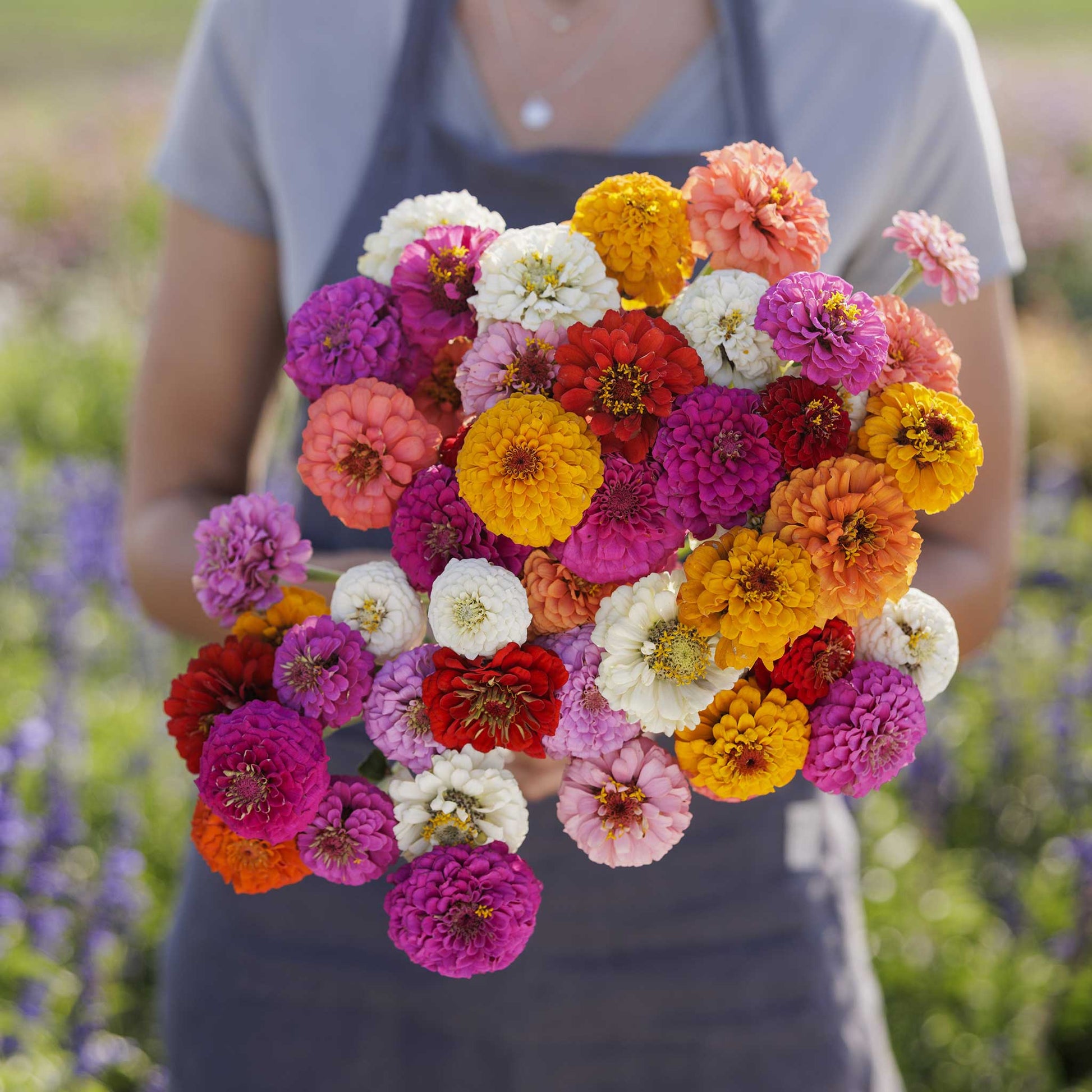 Colorful variegated zinnia sprite mix flowers in a bouquet on a light outdoor backdrop