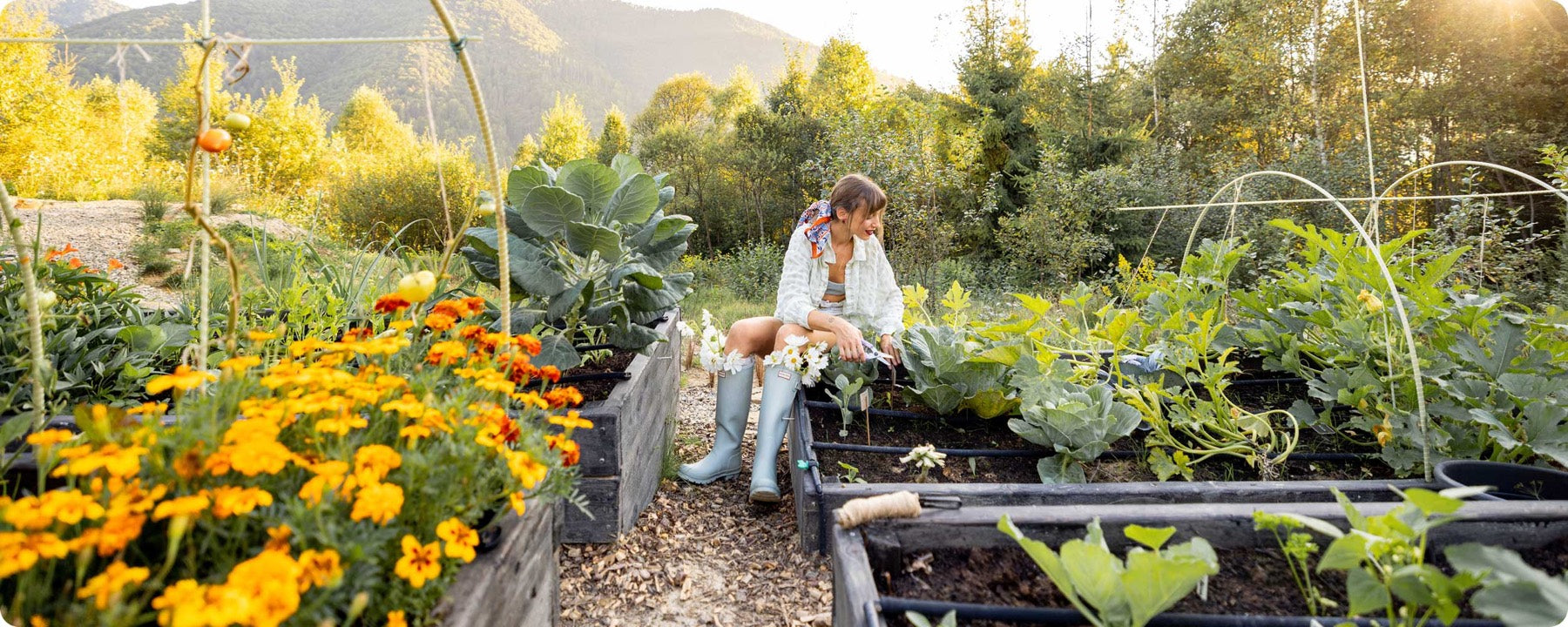 Gardener working a raised bed